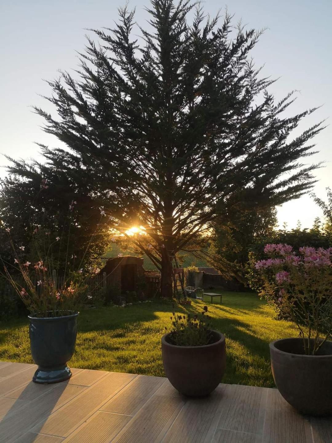 Au Coeur De Mortagne, Un Balcon Sur Le Perche Villa Exterior photo